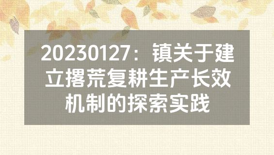 20230127：镇关于建立撂荒复耕生产长效机制的探索实践