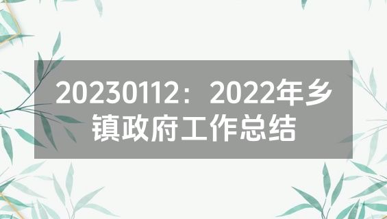 20230112：2022年乡镇政府工作总结