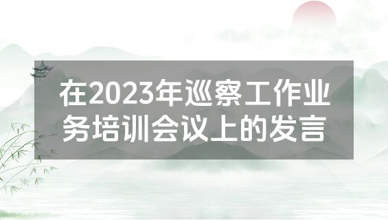 在2023年巡察工作业务培训会议上的发言