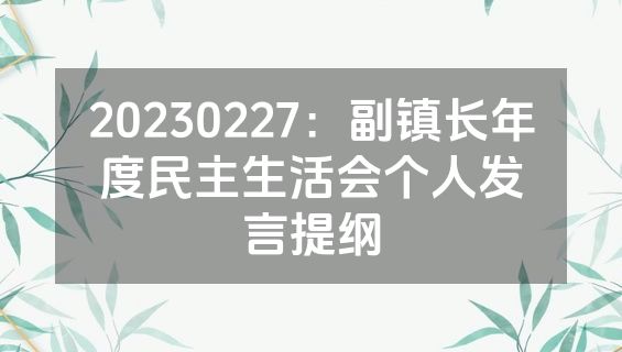 20230227：副镇长年度民主生活会个人发言提纲