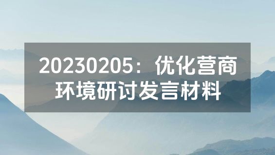 20230205：优化营商环境研讨发言材料