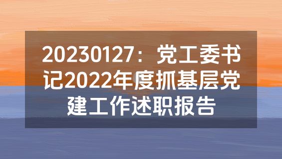 20230127：党工委书记2022年度抓基层党建工作述职报告