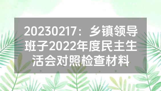 20230217：乡镇领导班子2022年度民主生活会对照检查材料