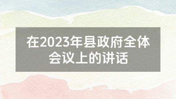 在2023年县政府全体会议上的讲话