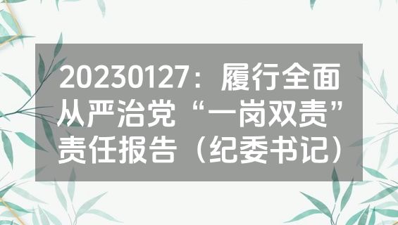 20230127：履行全面从严治党“一岗双责”责任报告（纪委书记）