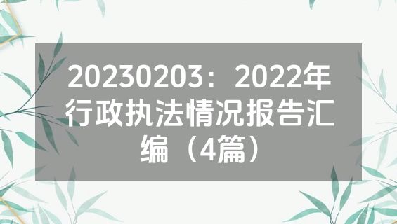 20230203：2022年行政执法情况报告汇编（4篇）
