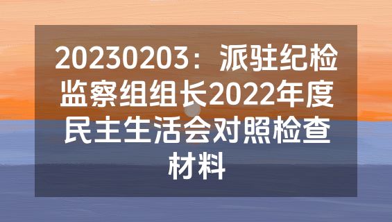 20230203：派驻纪检监察组组长2022年度民主生活会对照检查材料