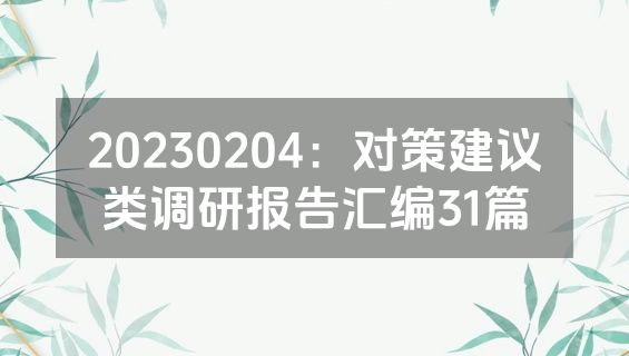 20230204：对策建议类调研报告汇编31篇