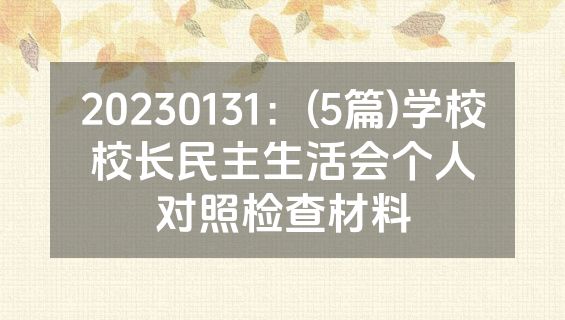 20230131：(5篇)学校校长民主生活会个人对照检查材料