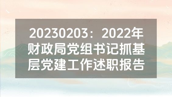 20230203：2022年财政局党组书记抓基层党建工作述职报告