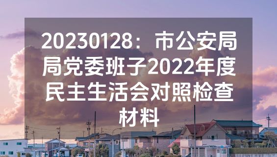 20230128：市公安局局党委班子2022年度民主生活会对照检查材料