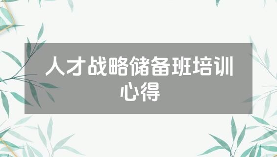 人才战略储备班培训心得