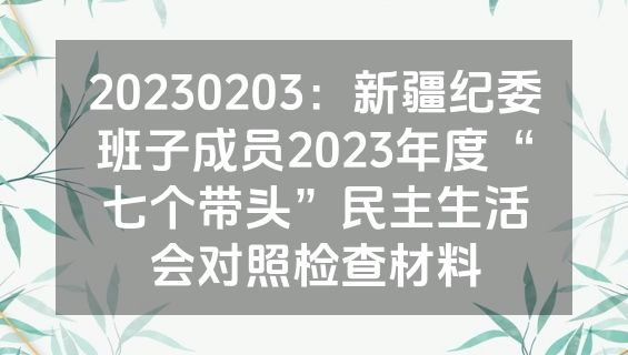 20230203：新疆纪委班子成员2023年度“七个带头”民主生活会对照检查材料