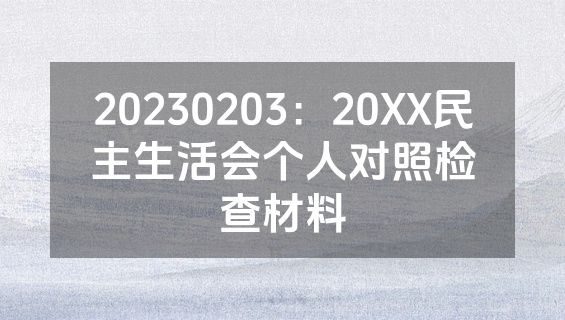 20230203：20XX民主生活会个人对照检查材料
