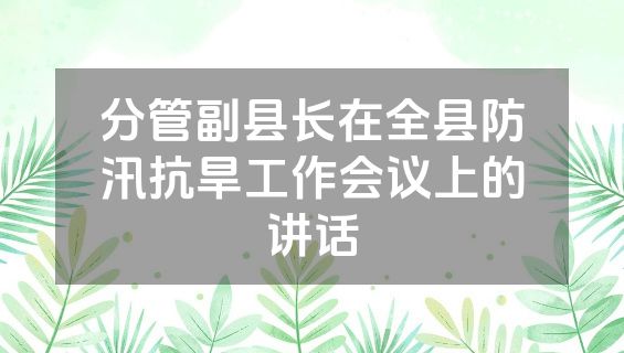 分管副县长在全县防汛抗旱工作会议上的讲话