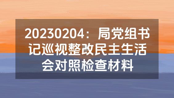 20230204：局党组书记巡视整改民主生活会对照检查材料