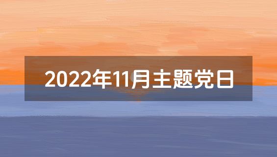2022年11月主题党日