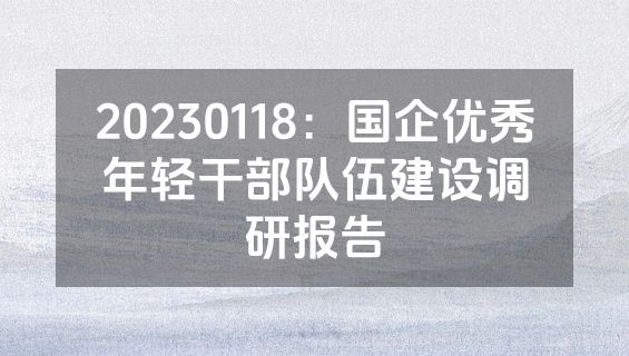 20230118：国企优秀年轻干部队伍建设调研报告