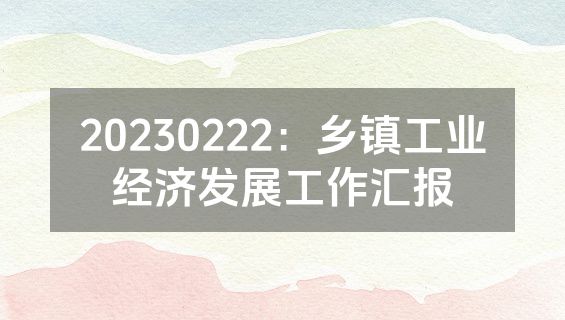 20230222：乡镇工业经济发展工作汇报