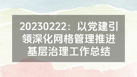 20230222：以党建引领深化网格管理推进基层治理工作总结