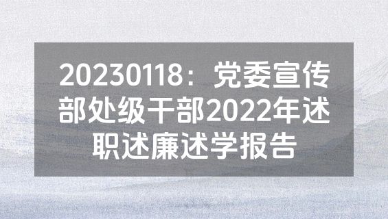 20230118：党委宣传部处级干部2022年述职述廉述学报告