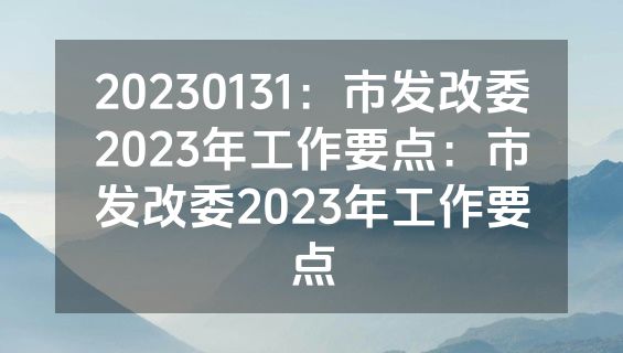 20230131：市发改委2023年工作要点：市发改委2023年工作要点