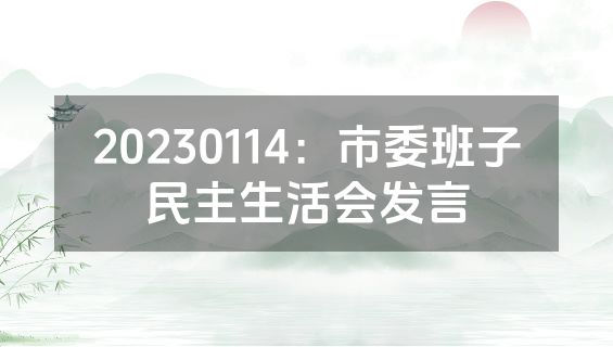 20230114：市委班子民主生活会发言
