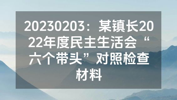 20230203：某镇长2022年度民主生活会“六个带头”对照检查材料