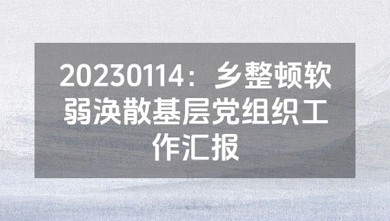 20230114：乡整顿软弱涣散基层党组织工作汇报