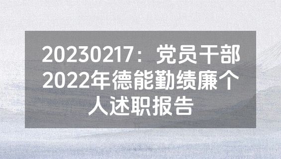 20230217：党员干部2022年德能勤绩廉个人述职报告