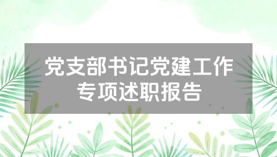 党支部书记党建工作专项述职报告