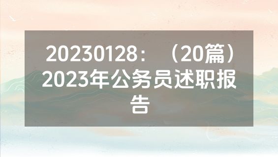 20230128：（20篇）2023年公务员述职报告