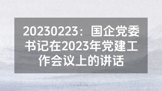 20230223：国企党委书记在2023年党建工作会议上的讲话
