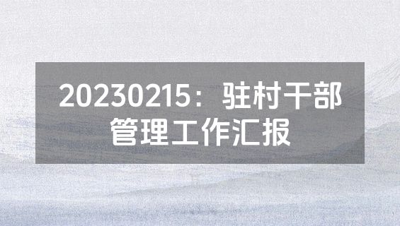 20230215：驻村干部管理工作汇报