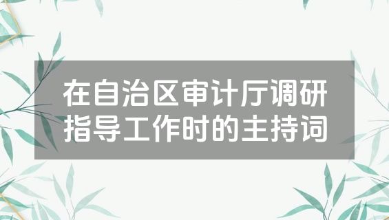 在自治区审计厅调研指导工作时的主持词