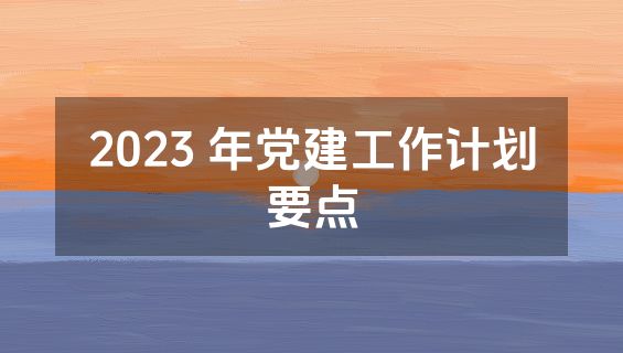 2023 年党建工作计划要点