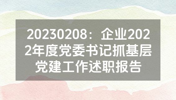 20230208：企业2022年度党委书记抓基层党建工作述职报告