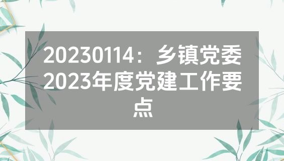 20230114：乡镇党委2023年度党建工作要点