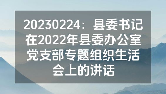 20230224：县委书记在2022年县委办公室党支部专题组织生活会上的讲话