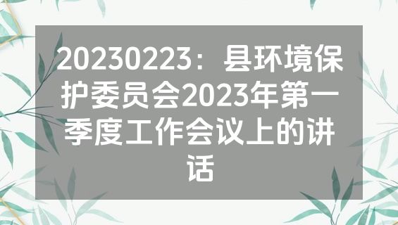 20230223：县环境保护委员会2023年第一季度工作会议上的讲话