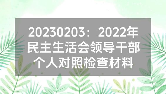 20230203：2022年民主生活会领导干部个人对照检查材料
