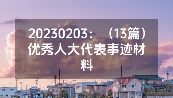 20230203：（13篇）优秀人大代表事迹材料