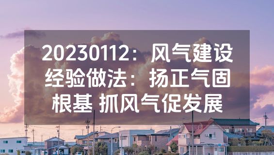 20230112：风气建设经验做法：扬正气固根基 抓风气促发展