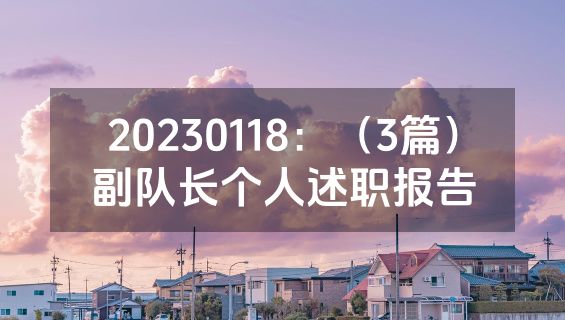20230118：（3篇）副队长个人述职报告
