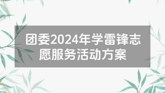 团委2024年学雷锋志愿服务活动方案