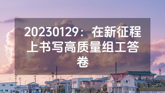 20230129：在新征程上书写高质量组工答卷