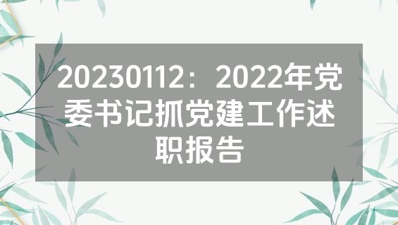 20230112：2022年党委书记抓党建工作述职报告