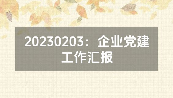 20230203：企业党建工作汇报