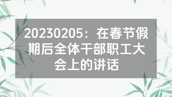 20230205：在春节假期后全体干部职工大会上的讲话