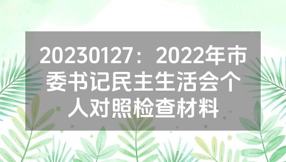 20230127：2022年市委书记民主生活会个人对照检查材料